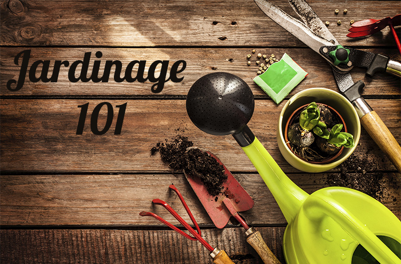 Jardinage 101