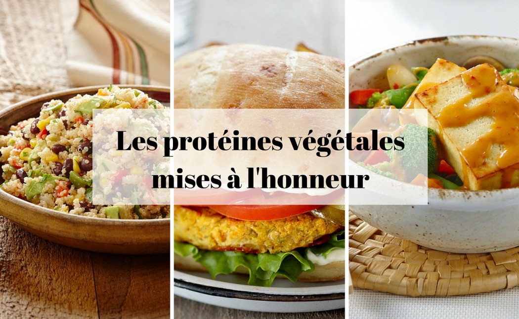 Aliments riches en protéines végétales