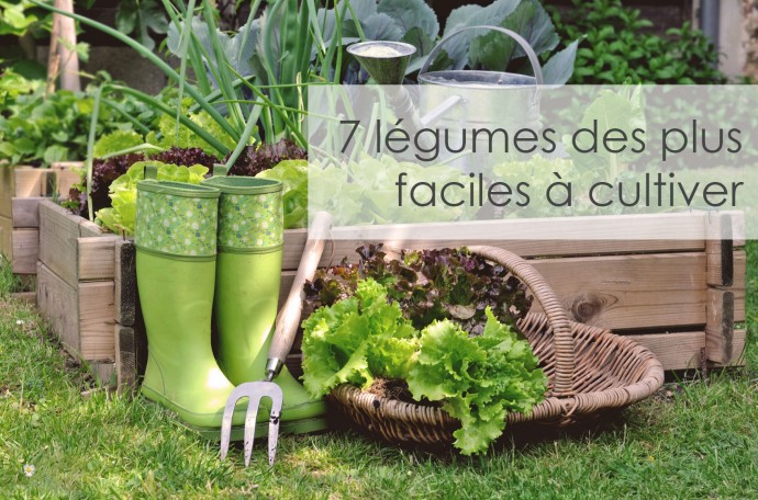 7 légumes des plus faciles à cultiver