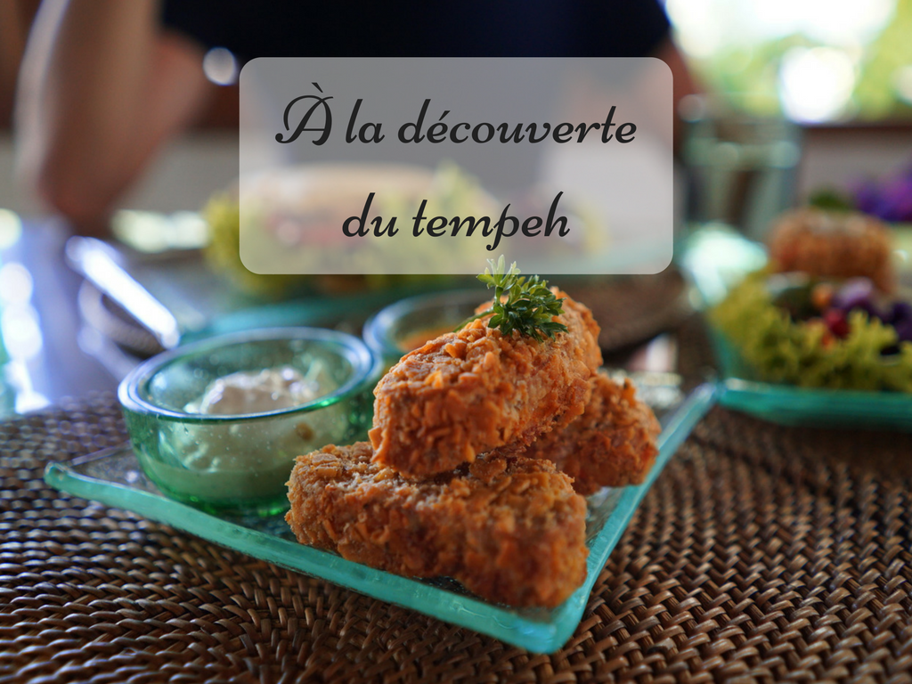 À la découverte du tempeh