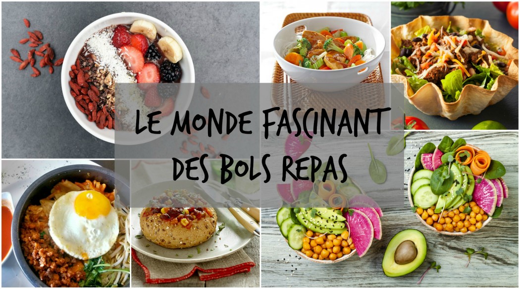 Le monde fascinant des bols repas