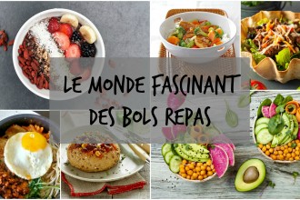 Le monde fascinant des bols repas