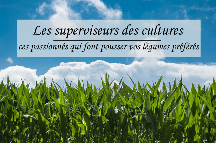 superviseurs des cultures