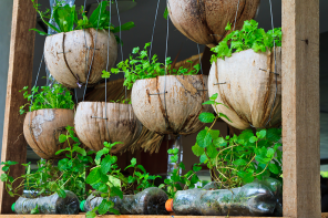 Potager urbain sur un balcon