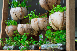 Potager urbain sur un balcon