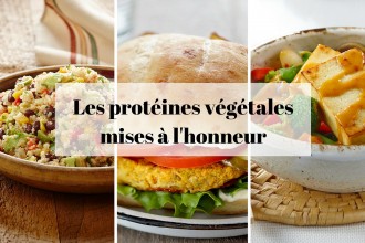 Aliments riches en protéines végétales