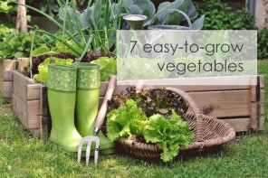 7 easy-to-grow vegetables