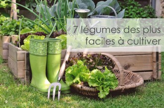 7 légumes des plus faciles à cultiver