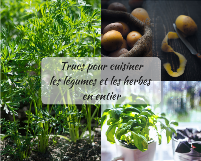 Cuisiner les légumes et herbes en entier