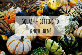 Squash-getting to know them