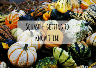 Squash-getting to know them