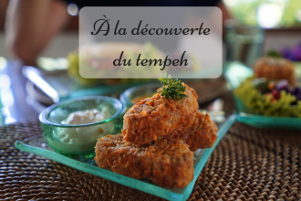 À la découverte du tempeh