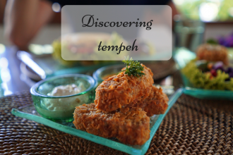 Discovering tempeh