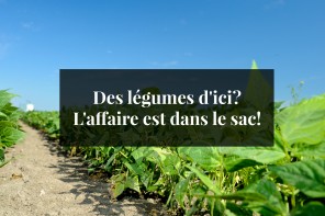 Des légumes d'ici? L'affaire est dans le sac!