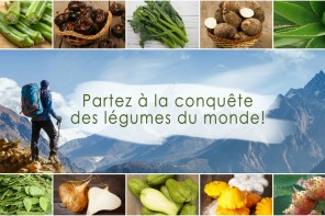 Conquête des légumes