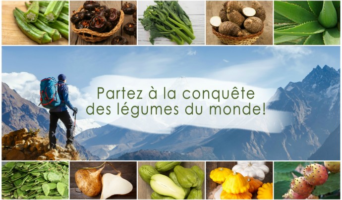 Conquête des légumes